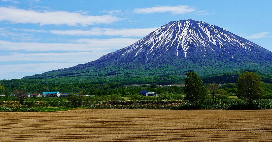 圖   北海道倶知安町  翻拍自網路