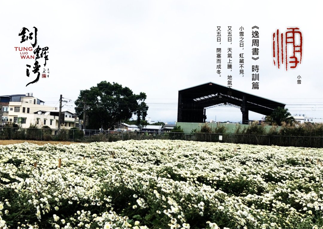 圖 苗栗縣銅鑼灣-小雪 拍攝 賴世若 篆刻&設計 司徒長卿