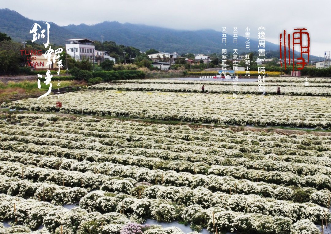 圖 苗栗縣銅鑼灣-小雪 拍攝 賴世若 篆刻&設計 司徒長卿
