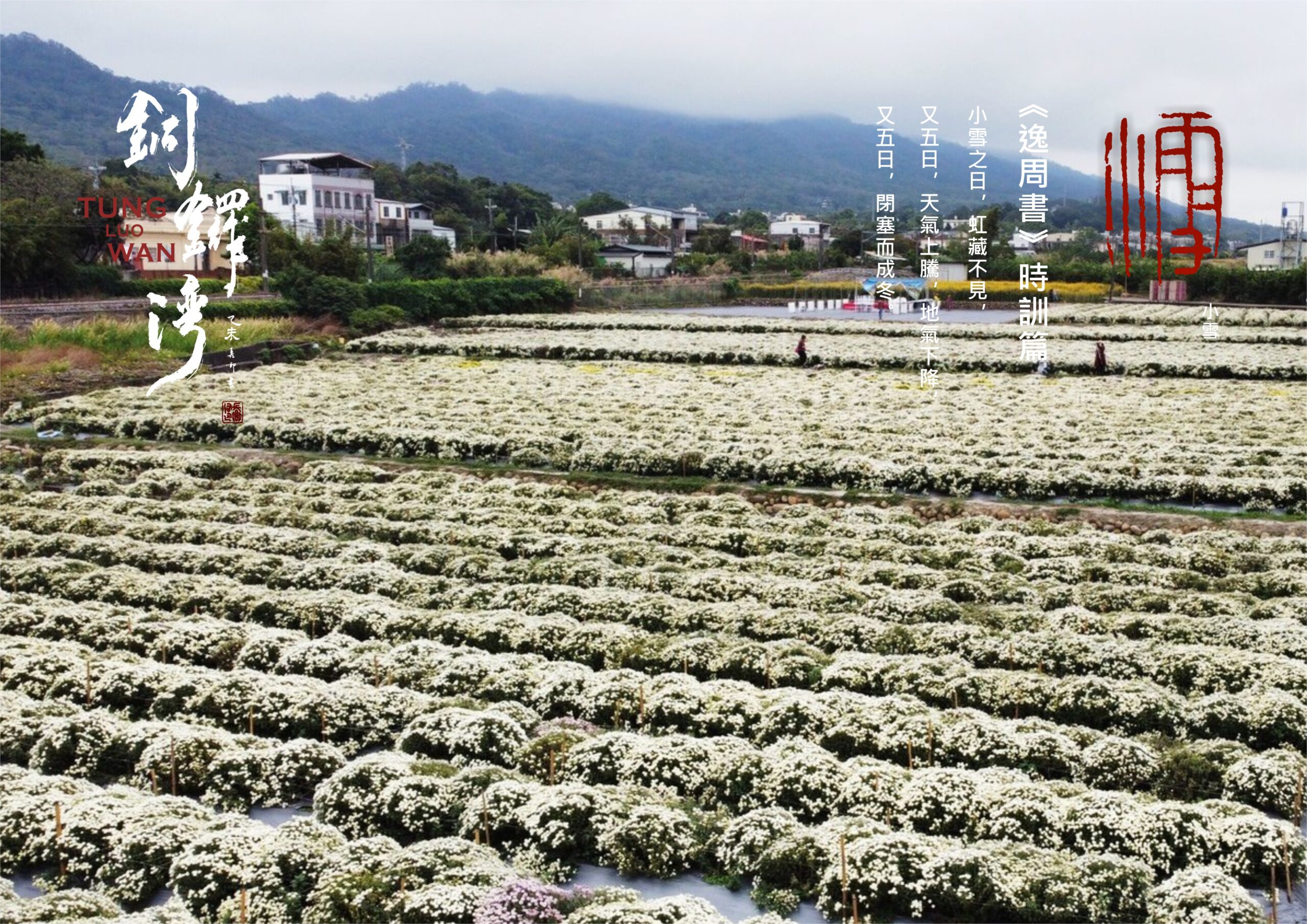 圖 第一套 二十四節氣 及 銅鑼二十四節節氣攝影 明信片