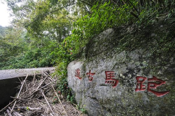 圖 跑馬古道可遠眺蘭陽平原美景與龜山島。（莊坤儒攝）