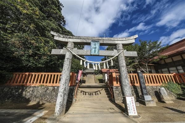 圖 擁有千年歷史的御崎神社坐落於茂密的楠木群中。