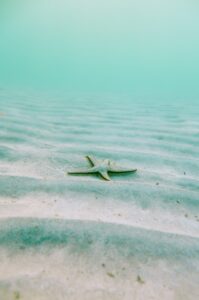 圖/unsplash 永續生活是選擇不要對身體以及環境產生傷害的日常生活用品