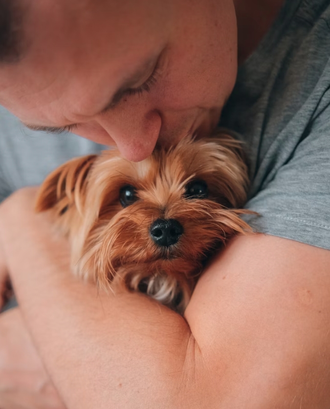 圖/unsplash 人往往可以卸下心房在毛小孩面前流露最真實的自己