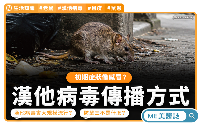 漢他病毒初期像感冒 鼠患出沒高燒腰痛莫輕忽