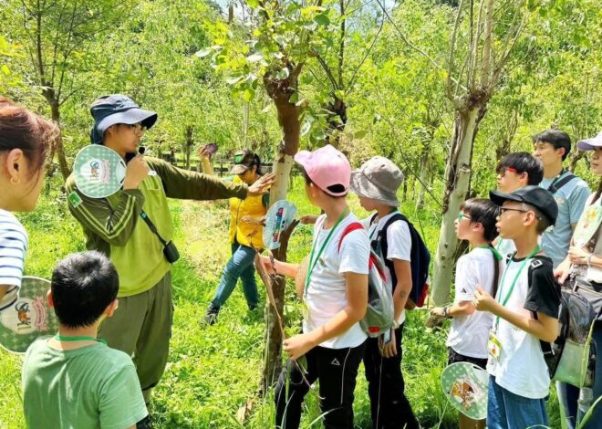 熊厲害! 福容台北二館攜手動物園 開發親子旅遊新亮點