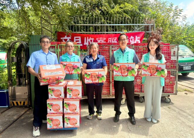 秋分文旦盛產 郵局數位挺果農