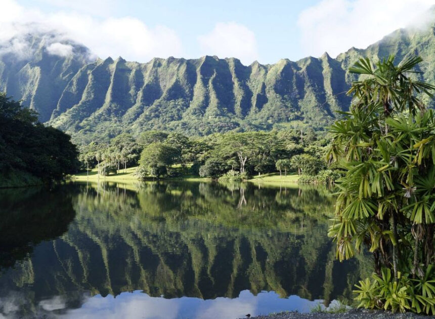 哈萊阿卡拉看日出  火山星空一次收