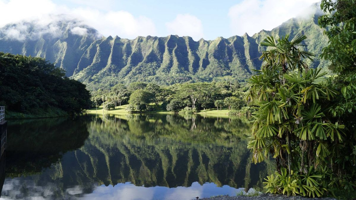 哈萊阿卡拉看日出  火山星空一次收